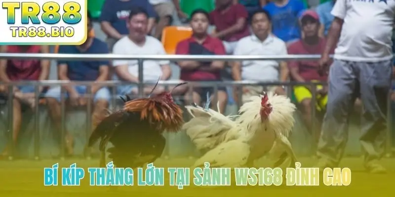 Bí kíp thắng lớn tại sảnh Ws168 đỉnh cao