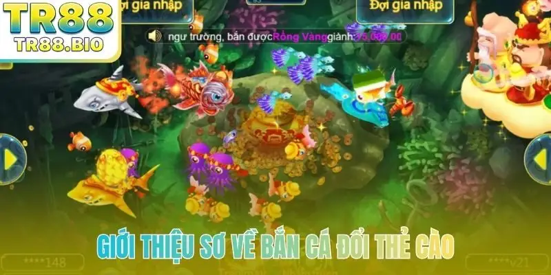 Giới thiệu sơ về bắn cá đổi thẻ cào