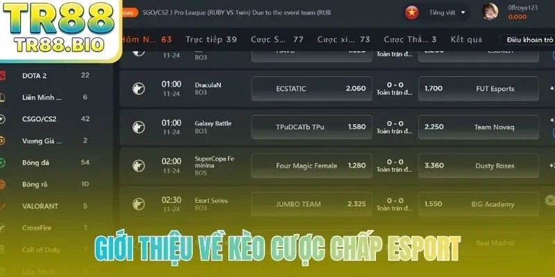 Giới thiệu về kèo cược chấp esport